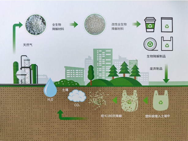 可持续发展